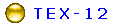   T E X - 1 2